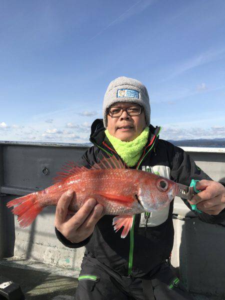 たいし丸 釣果
