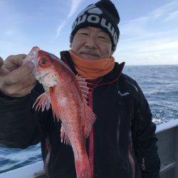 たいし丸 釣果