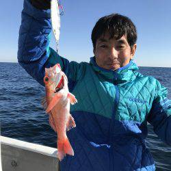 たいし丸 釣果