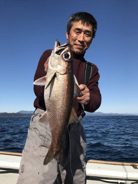 たいし丸 釣果