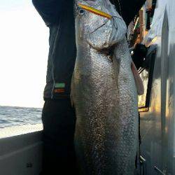 第五慶門丸 釣果