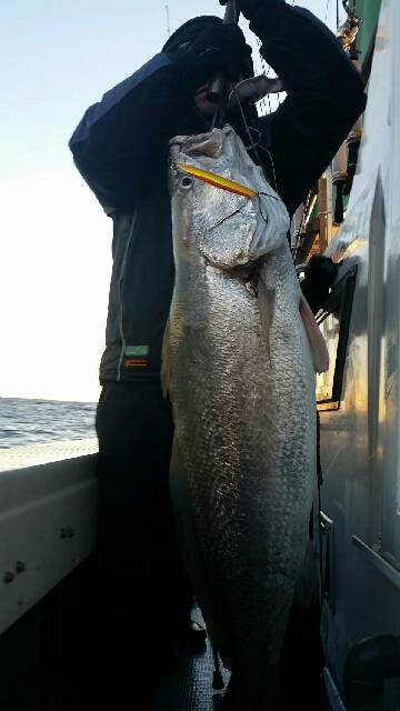 第五慶門丸 釣果