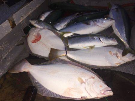 幸風（さちかぜ） 釣果