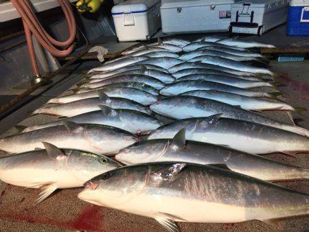 幸風（さちかぜ） 釣果