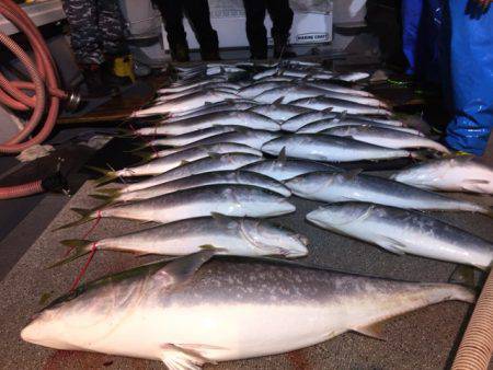 幸風（さちかぜ） 釣果