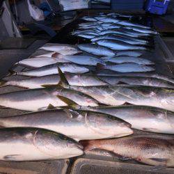 幸風（さちかぜ） 釣果