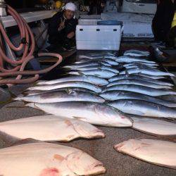 幸風（さちかぜ） 釣果
