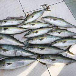 ふじしめ丸 釣果