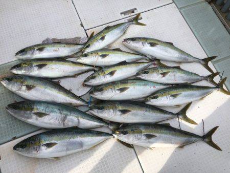 ふじしめ丸 釣果