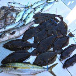 ふじしめ丸 釣果