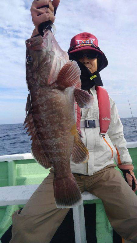 遊漁船 新鋭丸 釣果