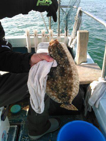 フィッシングガイド りょう 釣果