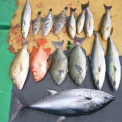 真祐丸 （しんゆうまる） 釣果