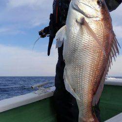 遊漁船 新鋭丸 釣果