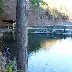 小菅トラウトガーデン 釣果