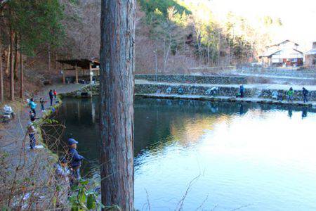 小菅トラウトガーデン 釣果