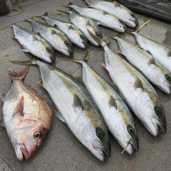 寿裕 (YOSHIHIRO) 釣果