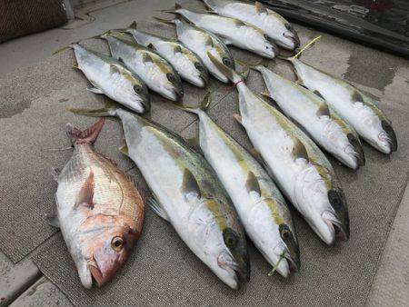 寿裕 (YOSHIHIRO) 釣果