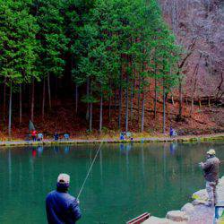 小菅トラウトガーデン 釣果