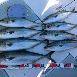 ふじしめ丸 釣果
