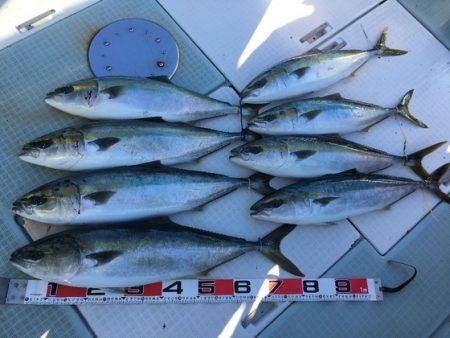 ふじしめ丸 釣果