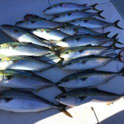 ふじしめ丸 釣果