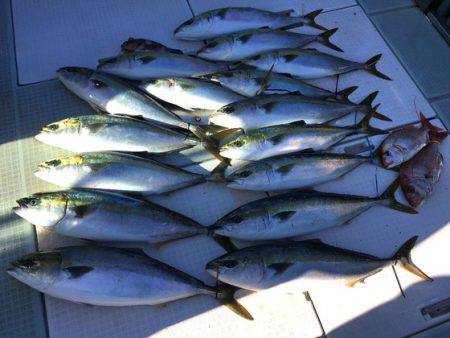 ふじしめ丸 釣果