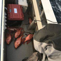 寿裕 (YOSHIHIRO) 釣果