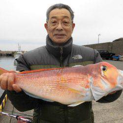 大進丸（新潟） 釣果