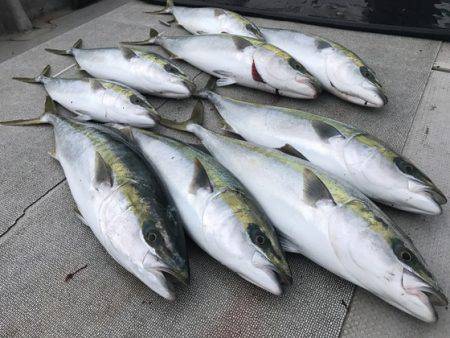 寿裕 (YOSHIHIRO) 釣果