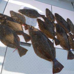 遊漁船 幸友丸 釣果