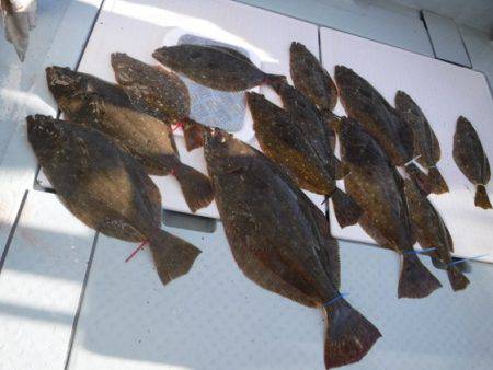 遊漁船 幸友丸 釣果