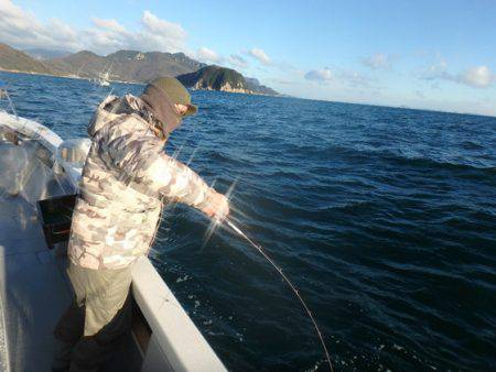 美里丸 釣果