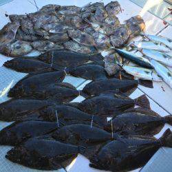 ふじしめ丸 釣果