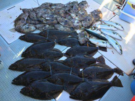 ふじしめ丸 釣果