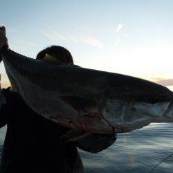 BlueNote Fishing Taxi 釣果