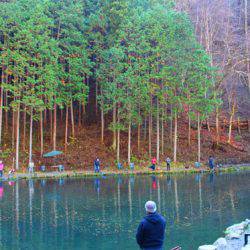 小菅トラウトガーデン 釣果