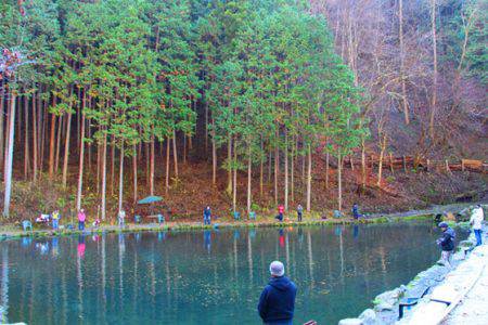 小菅トラウトガーデン 釣果