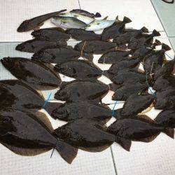 ふじしめ丸 釣果