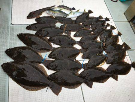 ふじしめ丸 釣果