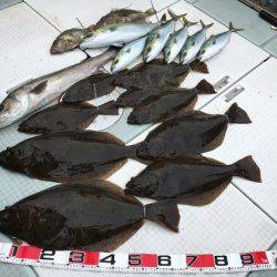 ふじしめ丸 釣果