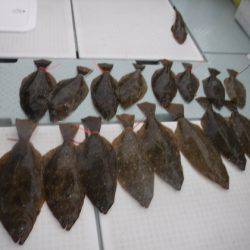 遊漁船 幸友丸 釣果