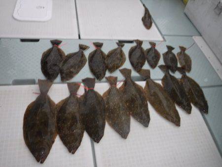 遊漁船 幸友丸 釣果