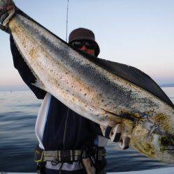 BlueNote Fishing Taxi 釣果