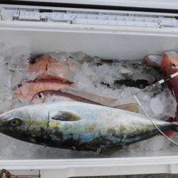 大進丸（新潟） 釣果