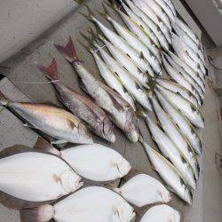 寿裕 (YOSHIHIRO) 釣果