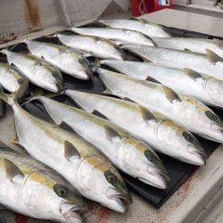 寿裕 (YOSHIHIRO) 釣果