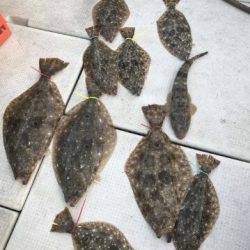 フィッシングガイド りょう 釣果