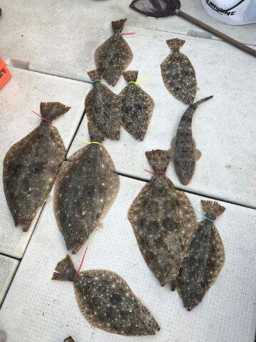 フィッシングガイド りょう 釣果