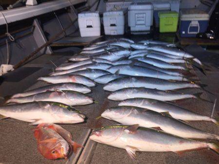 幸風(さちかぜ) 釣果